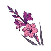 Vivid Gladiolus Flower Design on Clean White vector