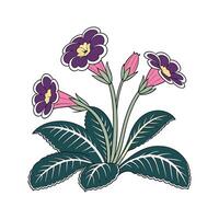 Charming Gloxinia Flower Design on Bright White vector