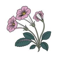 Vivid Gloxinia Flower Design on Clean White vector