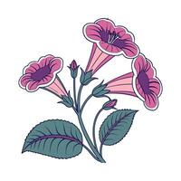 Charming Gloxinia Floral Art on White vector