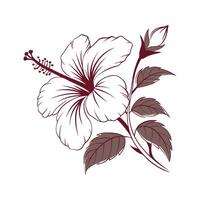 Vivid Hibiscus Flower Design on Clean White vector