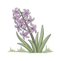 Charming Hyacinth Floral Design on Bright White vector