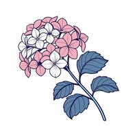 Elegant Hydrangea Flower Design on White Surface vector