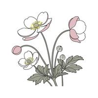 Charming Japanese Anemone Artwork vector