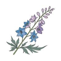 Elegant Larkspur Design on White vector