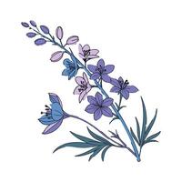 Vibrant Larkspur Flower Design vector