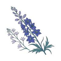 Vibrant Larkspur Floral Design vector