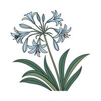 Vibrant Lily of the Nile Design vector