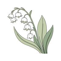 Charming Lily of the Valley Design vector