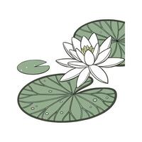 Charming Lily Pad Design on White vector