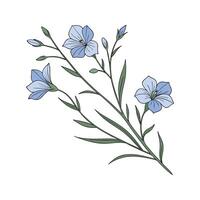 Charming Linum Flower Design vector