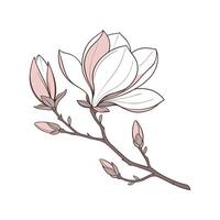 Charming Magnolia Floral Artwork vector