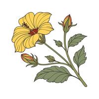 Charming Mexican Sunflower Artwork vector