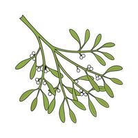 Vibrant Mistletoe Cactus Floral Artwork vector