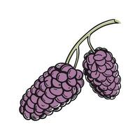 Charming Mulberry Design on White vector
