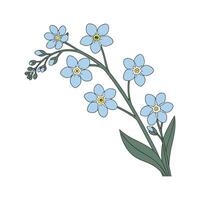 Charming Myosotis Flower Design vector