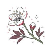 Charming Quinoa Flower Design vector