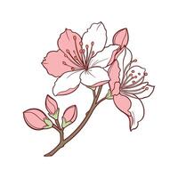 Charming Rhododendron Flower Design vector