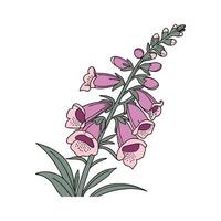 Charming Snapdragon Flower Design. vector