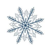 Elegant Snowflake Flower Design vector