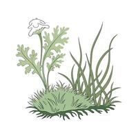 Fresh Sphagnum Moss for Home Decor vector