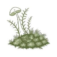 Sphagnum Moss for Creative Projects vector