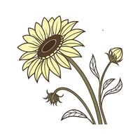 Charming Sunflower for Unique Decor vector
