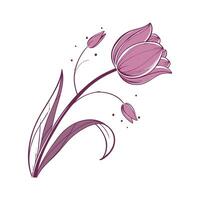 Elegant Tulip for Unique Botanical Art vector
