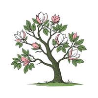 Majestic Tulip Tree for Stunning Decor vector