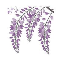 Vibrant Wisteria for Decorative Use vector
