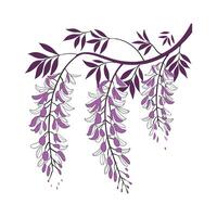 Stunning Wisteria for Bright Floral Displays vector