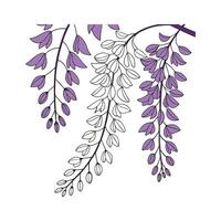 Elegant Wisteria for Artful Displays vector
