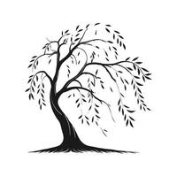 Outline of Willow Tree Design vector