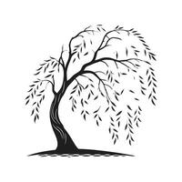 Willow Tree Bold Outline Design. vector