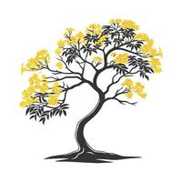 Outline of Yellow Elder Tree vector