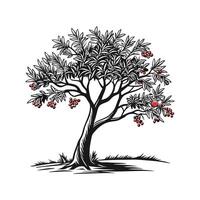 Yew Tree Bold Outline Design vector
