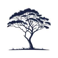 Stylish Acacia Tree Outline Design vector