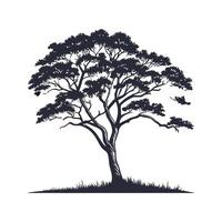 Charming Mahogany Tree Outline Art vector