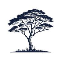 Unique Acacia Tree Bold Outline vector