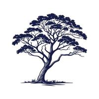 Distinctive Mahogany Tree Outline Art vector