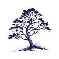 Unique Arizona Cypress Tree Outline vector