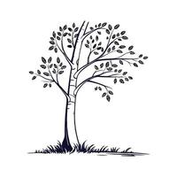 Creative Aspen Tree Outline Artwork vector