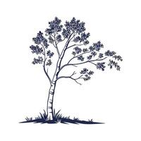 Distinctive Aspen Tree Outline Art vector