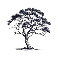 Artful Eucalyptus Tree Outline Design vector