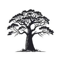 Stylish Baobab Tree Outline Design vector