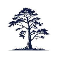 Stylish Bald Cypress Tree Outline vector