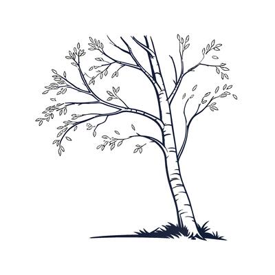 Artful Birch Tree Outline Design