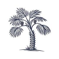 Creative Bismarck Palm Tree Outline Design vector