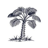 Elegant Bismarck Palm Tree Outline Art vector