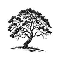 Charming Black Cherry Tree Bold Outline vector